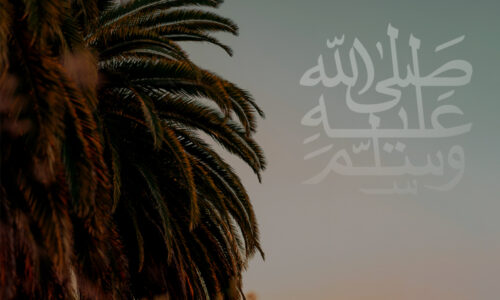 Непреложные доказательства того, что Мухаммад ﷺ — посланник